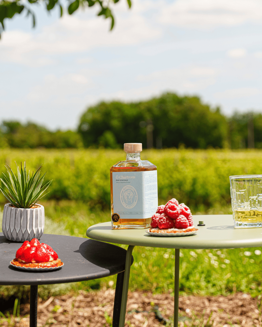 Fine Bordeaux Ô Chartrons | Renaissance N°4