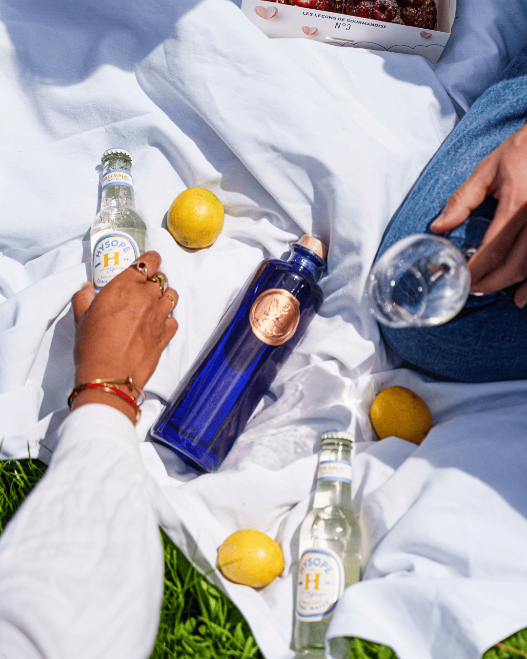 Gin Avem | Hippolais