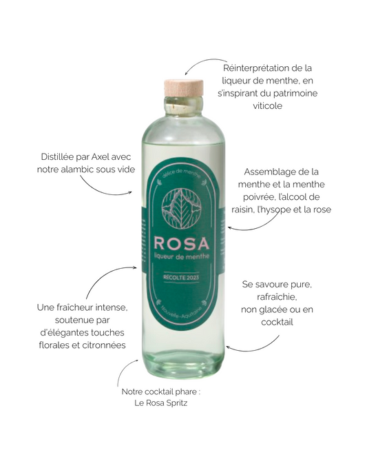 Menthe rosa, liqueur de menthe bordealaise par maison mounicq