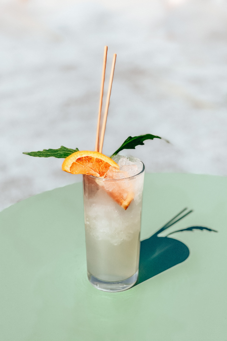 Gin Botanique Avem, Botaurus : nos conseils de dégustation