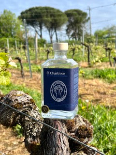 La blanche de Fine Bordeaux : qu'est ce que c'est ?