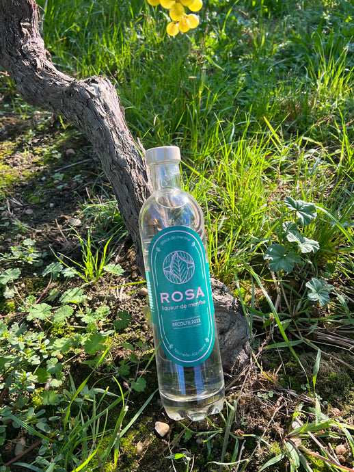 Rosa, liqueur de menthe : nos conseils de dégustation!