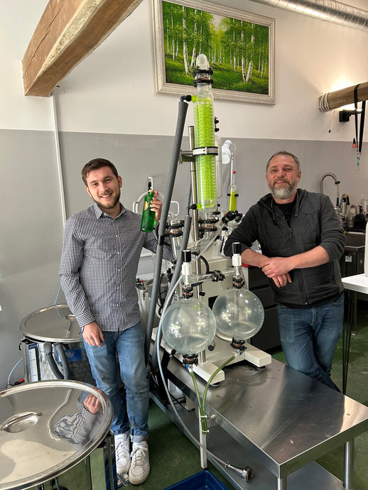 Botaurus : la sélection minutieuse des plantes locales pour un gin d'exception distillé sous vide
