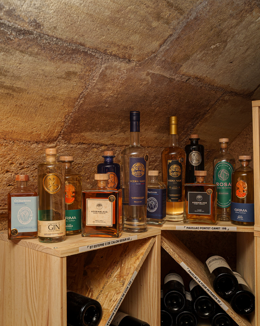 Vodka, gin, whisky, rhum : le guide de nos spiritueux