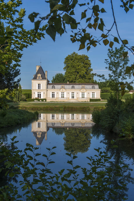 Ornithology meets viticulture with Philippe Nadé 