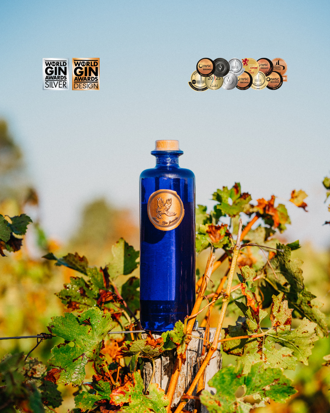 Gin Avem | Hippolais