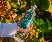 Charger l&#39;image dans la galerie, Menthe ROSA | Liqueur de menthe Bordelaise
