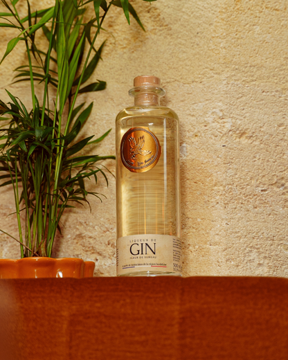 Gin Avem | Sylvia
