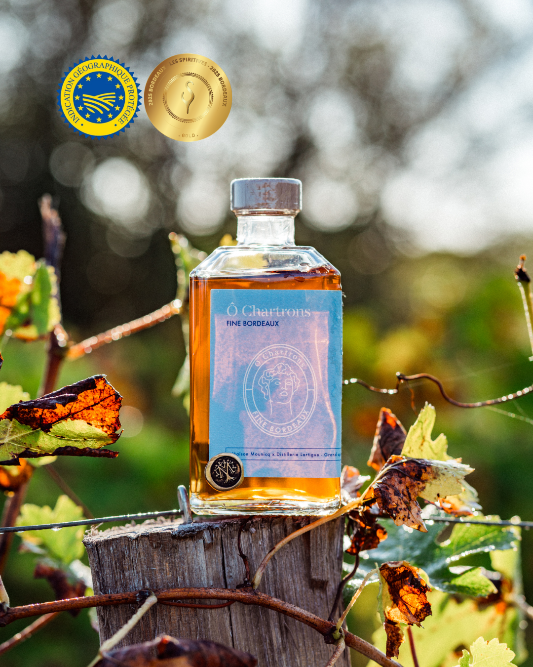 Fine Bordeaux Ô Chartrons | Renaissance N°4