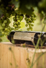 Load image into Gallery viewer, Corvus Gin Avem, Gin Français à base de raisins Bordelais
